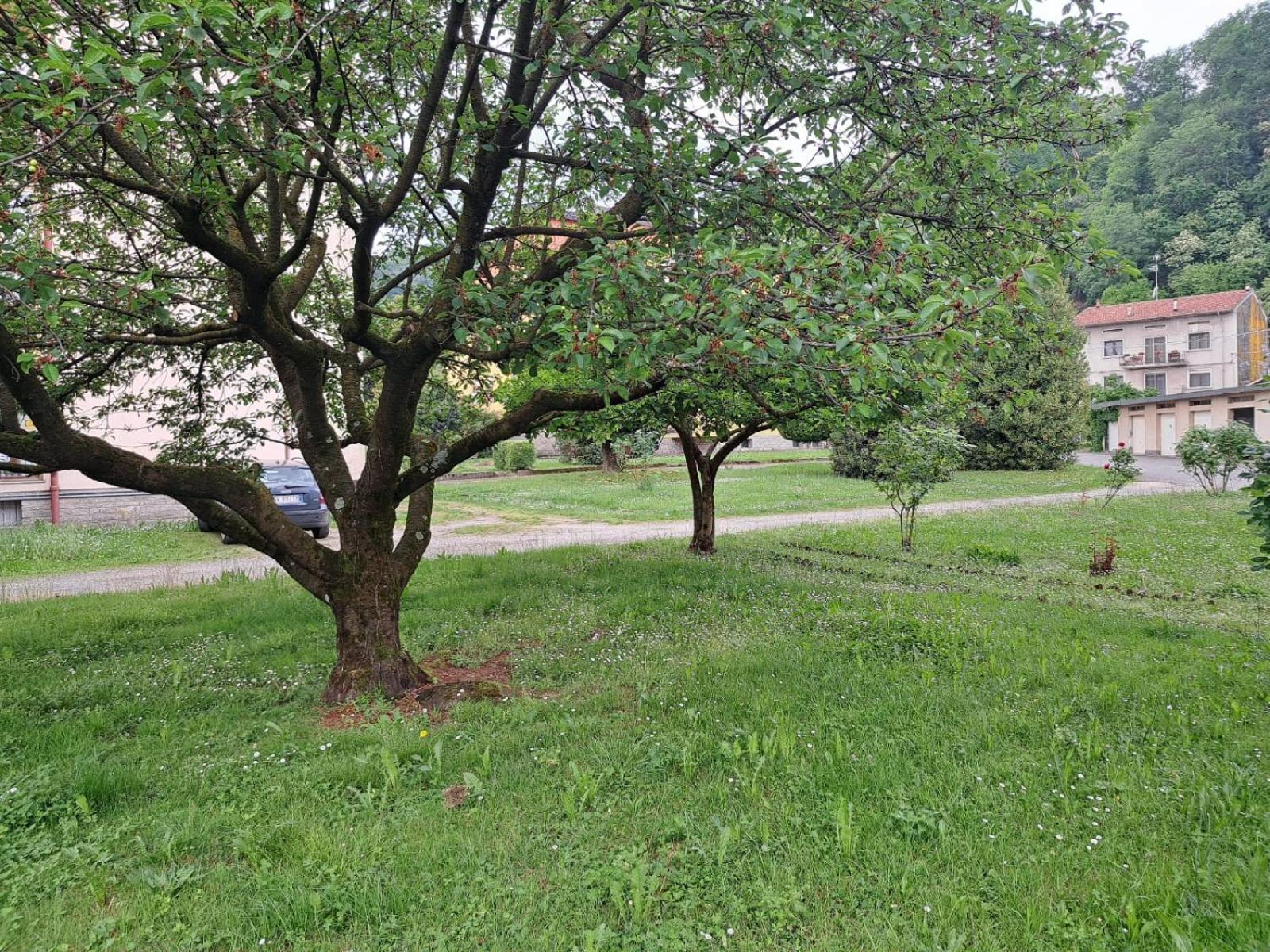 Seraval Valsesia Apartment Serravalle Sesia Екстер'єр фото