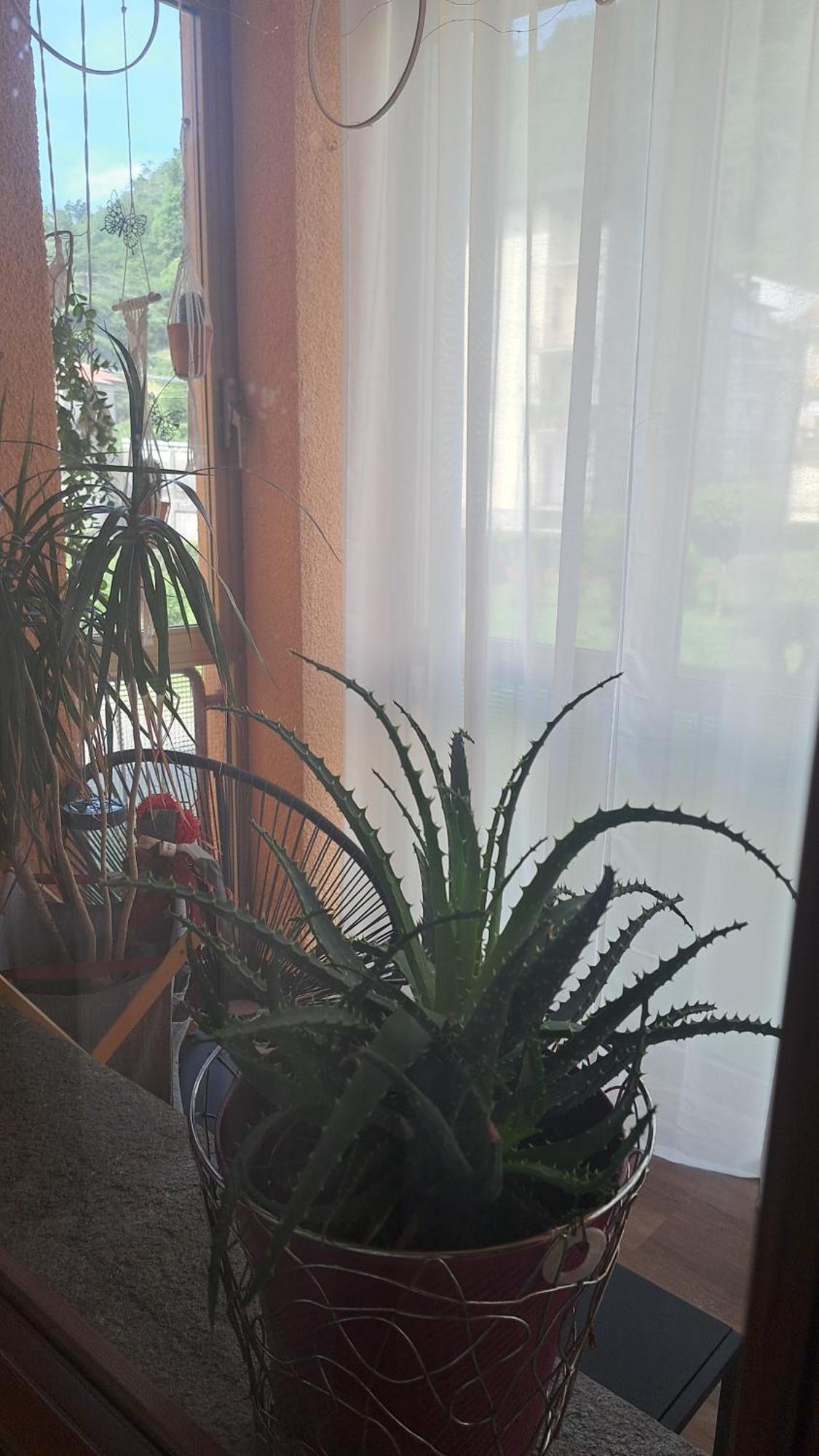 Seraval Valsesia Apartment Serravalle Sesia Екстер'єр фото